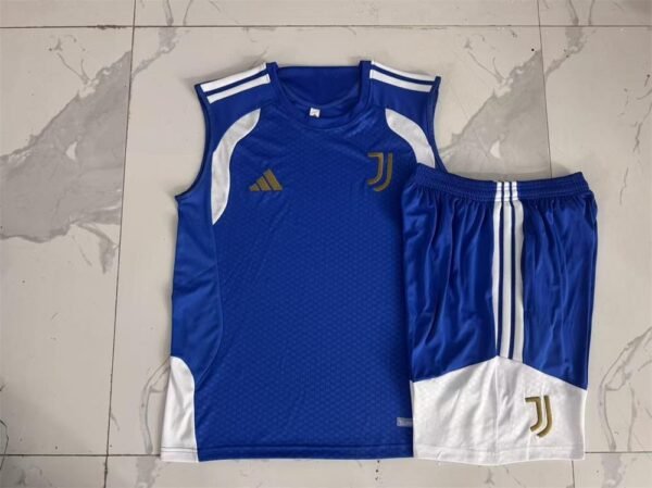 00000b8dc863b-12634c-1.jpg Juventus 26/27 training Trikot