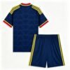 000F8BEC63120C4DDD57A7CA2A78114CEE6-2-1-1-1.jpg Arsenal 2026/27 Auswärtstrikot (Trikot + Hose)