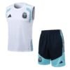 11.0-697c33-1.jpg Argentinien 26/27 training Trikot