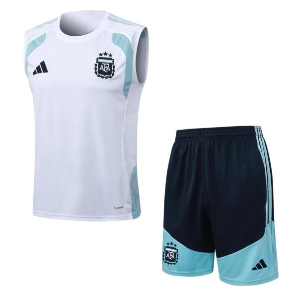 11.0-697c33-1.jpg Argentinien 26/27 training Trikot