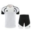 927cc44f-1-91c209-1.jpg Juventus 26/27 Trikot