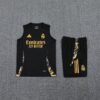 BAECAECC2CB17C8B81AE5438BA7899A3-1-1.jpg Real Madrid Trainingsweste 2425 (Weste + Shorts)