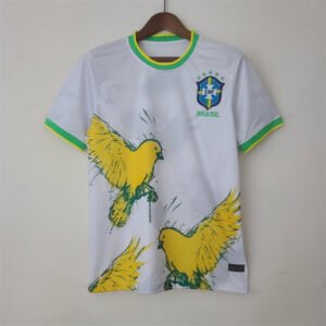 Brasilien Sondertrikot 2022