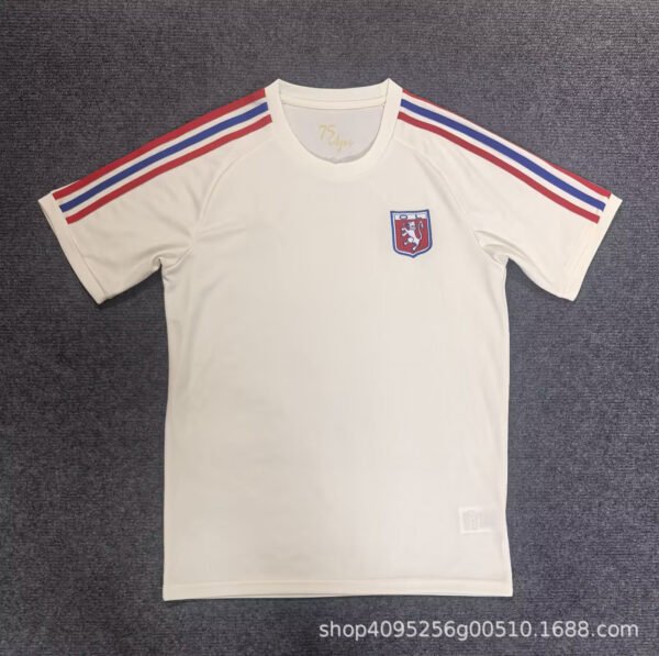 O1CN01dBotqz1G6wPcnU79a_2219334690574-0-cib.jpg Olympique Lyon Freizeit-T-Shirt 25/26
