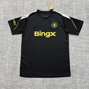 O1CN01pLU7HwDz7UG3FPuJ_2220556403393-0-cib.jpg FC Chelsea Trainingsshirt 26/27