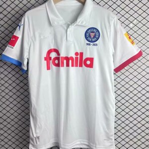 Holstein Kiel Sondertrikot 25/26