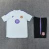 c5385a94-469efa-2.jpg FC Barcelona 26/27 training Trikot
